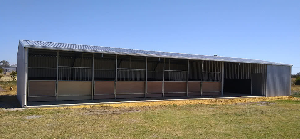 Equine Shed